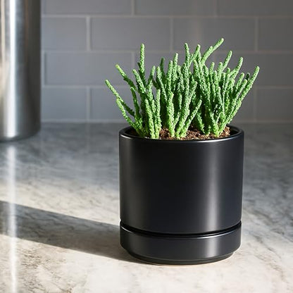 D'vine Dev 2-Pack Ceramic Pots with Saucers, Black, 4.7 in, 94-V-B-2 | Modern Cylinder Design, Glazed Ceramic, Drainage Hole & Saucer Included, High Temperature Fired, Elegant Home Accent - color: Black, size: 4.7 Inch