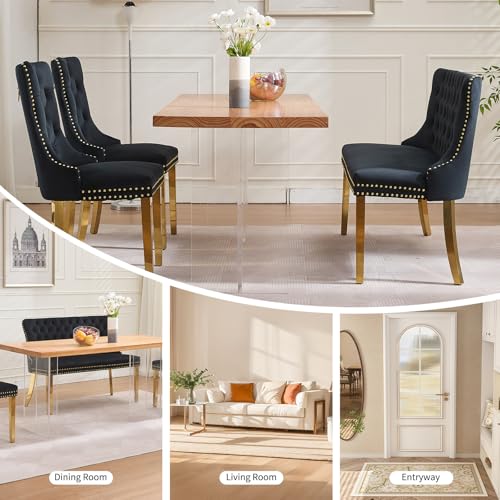 Black Velvet Dining Bench with Back, Tufted Banquette Seating, Gold Legs | Upholstered loveseat bench; tufted back; nailhead trim; 500 lb capacity; foam and spring seat; dining room or entryway - color: Black(gold Stainless Steel Legs)