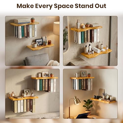 Pine Wood Floating Shelves for Wall, 2 Pack, 15.7 Inch, Light Brown | Two live edge pine shelves with hidden brackets; each 15.7 inches long and supports books, photos or plants up to 66 lb. - color: Light Brown
