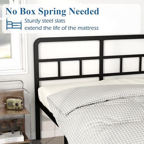 DiaOutro 18 Inch Metal Queen Bed Frame with Headboard Tall, Black | Heavy Duty Bed For Kids Adults, Steel Slat Supports No Box Spring Needed, Easy Assembly, Noise Free - size: Queen, style: 18 Inch