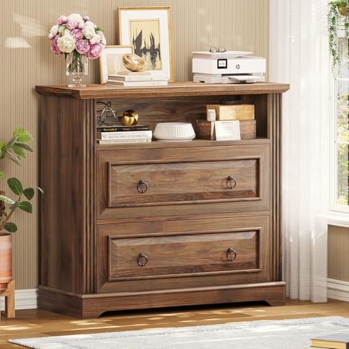 Itaar 2 Drawer File Cabinet, Farmhouse Filing Cabinet for Home Office Fits Letter, Legal, A4 Size, Wood Lateral File Cabinet with Printer Stand, Storage Shelf, Brown - color: Brown