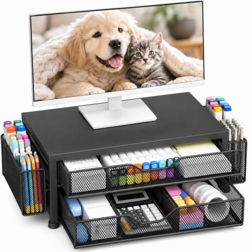 Desk Organizer and Accessories, 2-Tier Computer Monitor Stand Riser with 2 Drawer and 2 Pen Holders, Laptop Stand, Office Desk Accessories for Office Supplies, Black Metal - color: Black Metal, size: Double Drawer