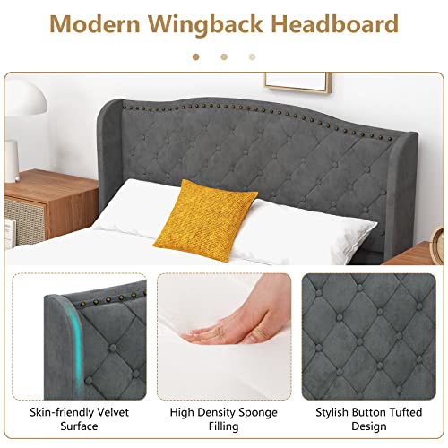 Upholstered Full Bed Frame w/Wood Slats & Noise-Free EVA Foam | Low Velvet Mattress Foundation, Button Tufted Wingback Headboard, No Box Spring Needed, Double Platform Bed Frame Full Size - size: Full