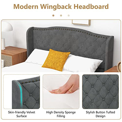 Upholstered Full Bed Frame w/Wood Slats & Noise-Free EVA Foam | Low Velvet Mattress Foundation, Button Tufted Wingback Headboard, No Box Spring Needed, Double Platform Bed Frame Full Size - size: Full