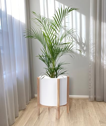 D'vine Dev Plastic Pot with Natural Wood Stand, White, 14 in, 55-C-S-1 | Mid-Century Inspired Design, Elevated Plant Display, Clean Lines, Sturdy Support, Modern Space-Saving Style - color: Matte White Pot + Natural Stand, size: 14 Inch