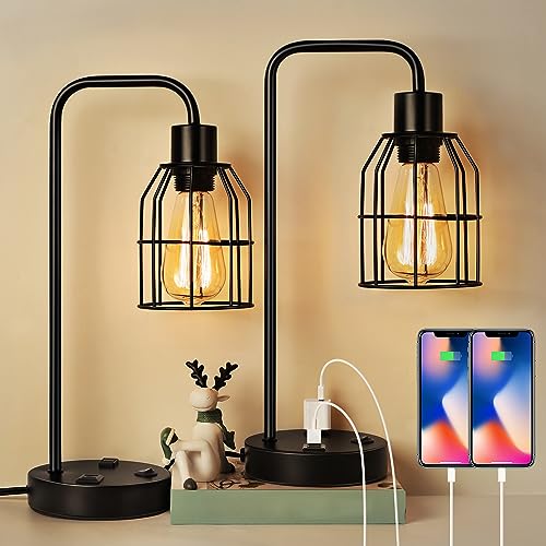 BTY Bedside Lamps Set of 2 Industrial Table Lamp with Dual USB Charging Ports and 2 Prong AC Outlet Farmhouse Nightstand Desk Lamps Edison Lamp with Metal Wire Cage for Bedroom Living Room - size: CAGE 3