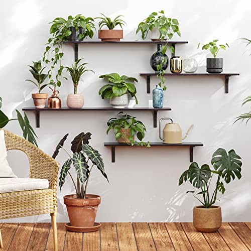 Long Wall Shelves, 39.4Inch Wooden Wall Mounted Shelves, Set of 2 | Large Floating Book Shelf with Metal Brackets, Easy Assembly, Max Load 33lbs, Wall Storage Ledges, Bedroom/Bathroom, Espresso - color: Espresso, size: 39.4 Inch