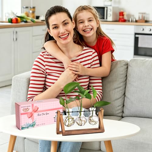 XXXFLOWER Plant Terrarium with Wooden Stand, Air Planter Bulb Glass Vase Metal Swivel Holder Retro Tabletop for Hydroponics Home Garden Office Decoration - 3 Bulb Vase | Air Planter Flower Glass Vase Retro for Hydroponics Cutting Home Garden Office Decora