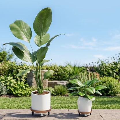 Plant Caddy With Wheels 13" Metal Plant Saucers for Indoors 350 Lb Capacity | Rolling Plant Stand, 360° Locking Casters Heavy Duty Planter Caddies, Rustproof and Waterproof, and Easy to Move, 1 Pack - size: 1 PACK 13 INCH