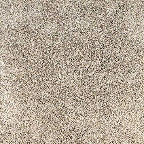 Peak Performance Peel and Stick Carpet Tiles with Attached Cushion, Easy DIY Install, Soft Residential Carpet, Seamless Appearance (Everest, 10 Tiles - 22.5 Square Feet) - color: Everest