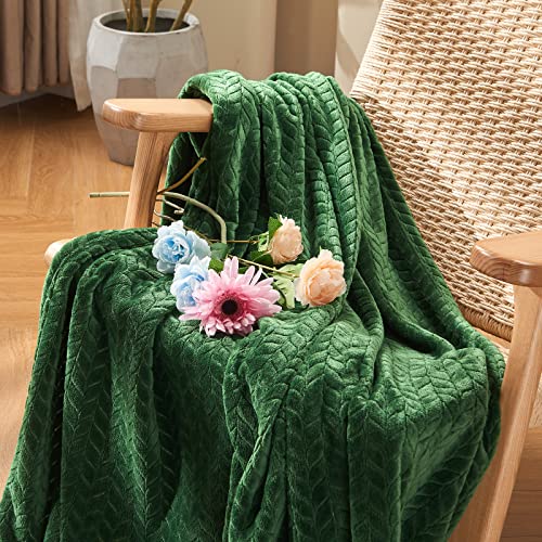 inhand Fleece Queen Blanket for Bed, Super Soft Flannel Cozy Queen Bed Blanket for Adults, Washable Lightweight Fuzzy Bed Blanket for Office, Warm Plush Blankets for All Season (90"×90", Green) - color: A-green, size: Full/Queen-90x90 IN