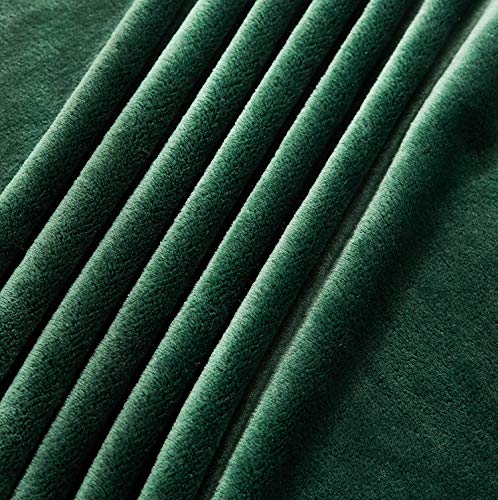 TASTHROW Large Flannel Fleece Throw Blanket, 50×70 Inch | Cozy Lightweight Thick Blanket - All Seasons Suitable for Women, Men and Kids (Two Pack, Darkgreen) - color: Darkgreen, size: Two Pack 50"x70"