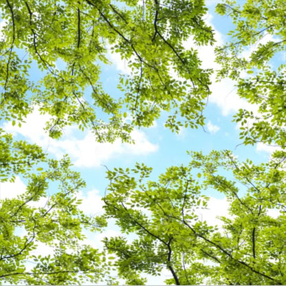 Custom Ceiling Wallpaper 3D Forest Theme Sky Wall Mural | Clouds Mural Ceiling Non Peel and Stick Wallpaper, Size Silk Fabric 148" W x 104" H - color: Mural 10, size: 148" x 104"