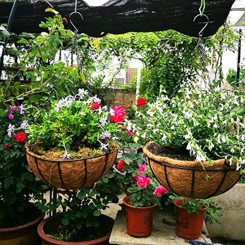 Plant Hanger Flower Pot Indoor | Hangable Planter Basket for Home Office Apartment Living Room Kitchen Balcony Patio Porch Bedroom Nursery Restaurant
