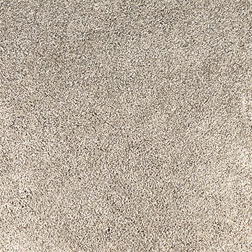 Peak Performance Peel and Stick Carpet Tiles with Attached Cushion, Easy DIY Install, Soft Residential Carpet, Seamless Appearance (Denali, 10 Tiles - 22.5 Square Feet) - color: Denali