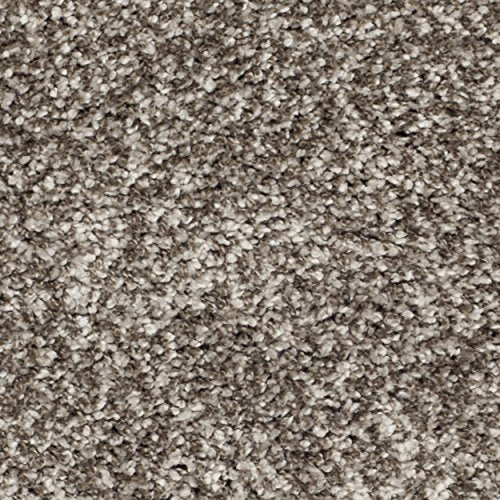 SAFAVIEH Milan Shag Collection Area Rug - 2' x 4', Grey, Solid Design, Non-Shedding & Easy to Clean, Plush Thick Pile, Ideal for Foyer, Bedroom, Accent Space (SG180-8080) - color: Grey, size: 2' x 4' (Rectangular)