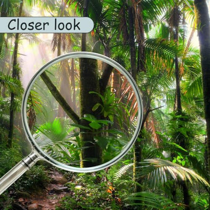 AFZEVEB-Tropical Forest Peel and Stick Wallpaper Landscape Trees Mural - color: X810, size: 157" x 108"