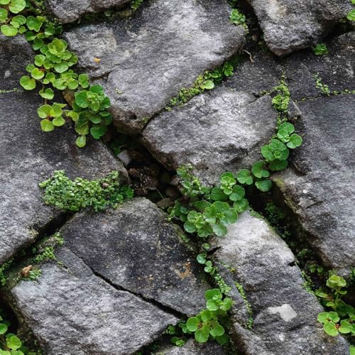 Vintage Irregular Stone Green Grass & Moss Pattern Peel and Stick Wallpaper Easy Peel Off Contact Paper Stick on Adhesive Wall Paper for Bathroom Waterproof Renter 17.71"x236.2" - color: LD-137b, size: 17.7" x 236"
