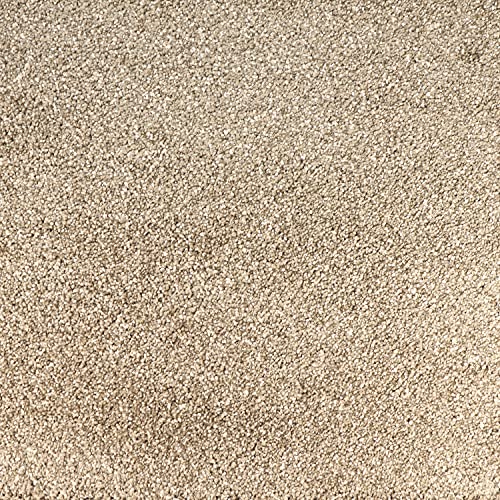 Peak Performance Peel and Stick Carpet Tiles with Attached Cushion, Easy DIY Install, Soft Residential Carpet, Seamless Appearance (Big Sur, 10 Tiles - 22.5 Square Feet) - color: Big Sur
