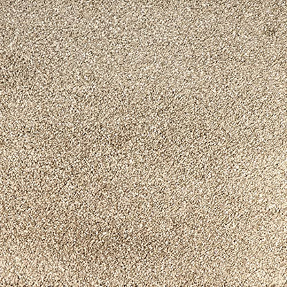 Peak Performance Peel and Stick Carpet Tiles with Attached Cushion, Easy DIY Install, Soft Residential Carpet, Seamless Appearance (Big Sur, 10 Tiles - 22.5 Square Feet) - color: Big Sur